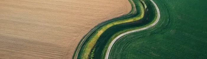La Société à Responsabilité Limitée (SARL)