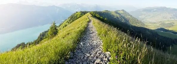 Société Anonyme (SA)